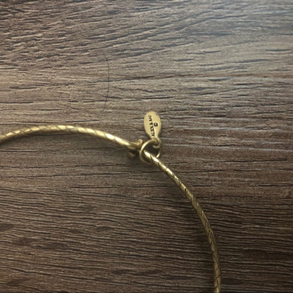 Alex and Ani Bangle - Picture 3 of 3